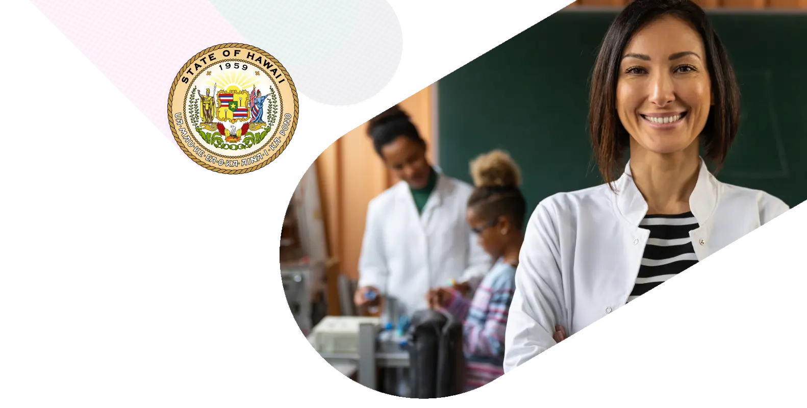 Hawaii state illustration